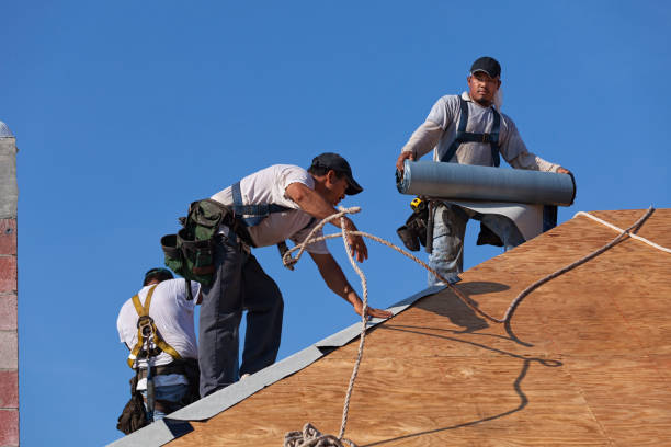 Best Gutter Installation and Roofing  in Brices Creek, NC