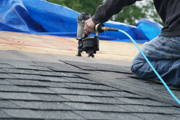 Best Roof Gutter Cleaning  in Brices Creek, NC